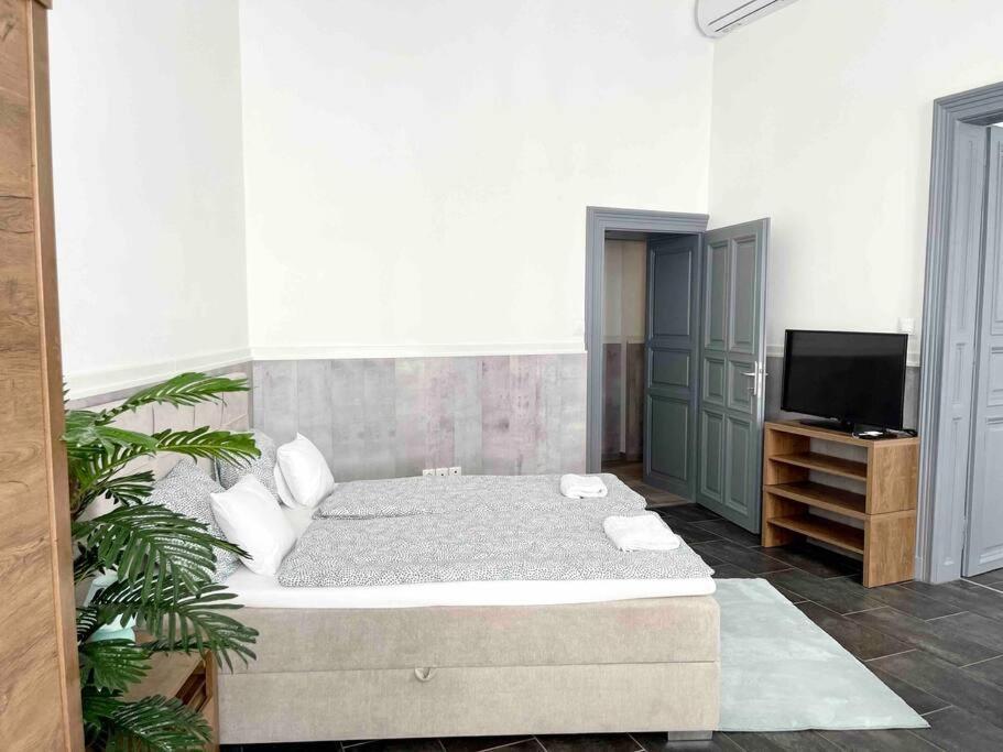 D3 Basilica Luxury Spacious Free Parking For 1 Car Budapeste Exterior foto